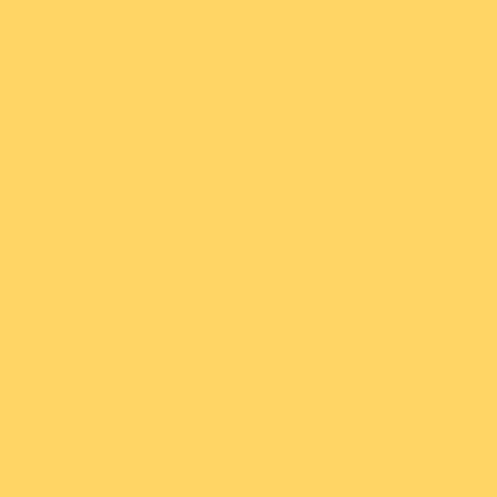 Ceiling Paint - Summer