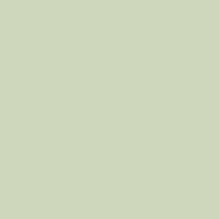 Ceiling Paint - Thrift Shop