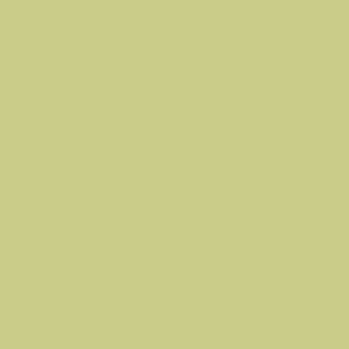 Ceiling Paint - Vibing