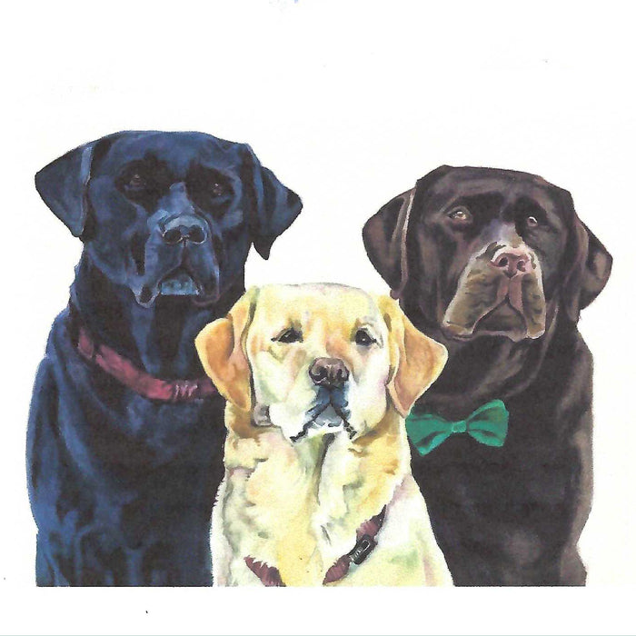 Commission a pet portrait by Morgan Bullard, a graduate of Detroit's acclaimed Center for Creative Studies.
