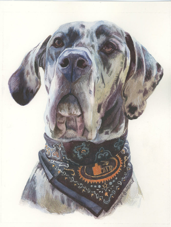Commission a pet portrait by Morgan Bullard, a graduate of Detroit's acclaimed Center for Creative Studies.