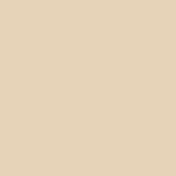 Enamel & Exterior Paint - Bare Intent