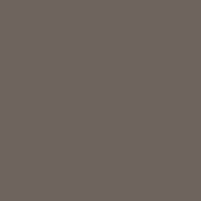 Enamel & Exterior Paint - Canopy