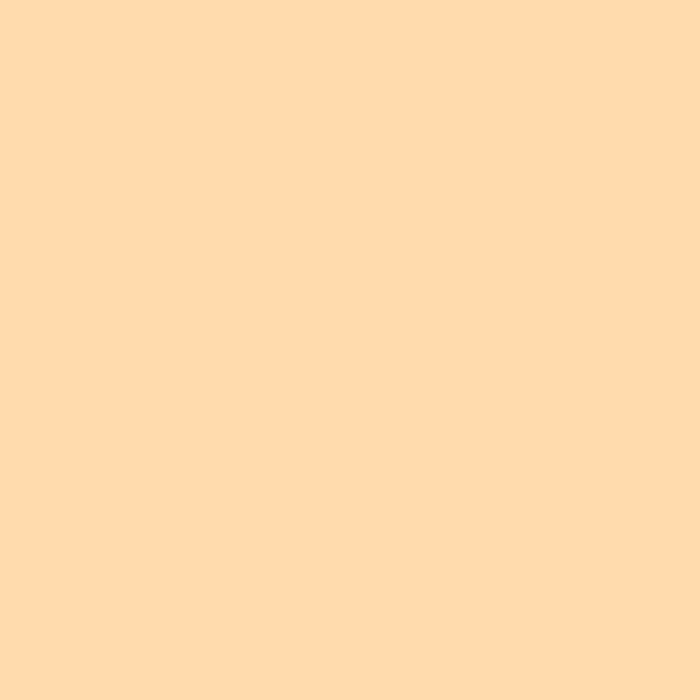 Enamel & Exterior Paint - Last Dance