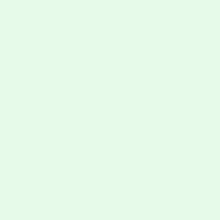 Enamel & Exterior Paint - Mint