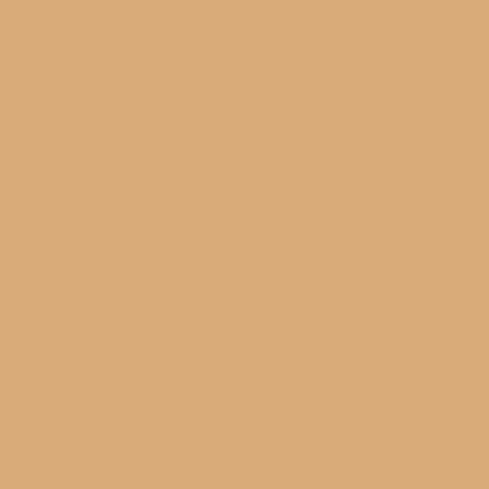 Enamel & Exterior Paint - Mudbrick