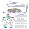 Feline 5 Element Meridian Charts