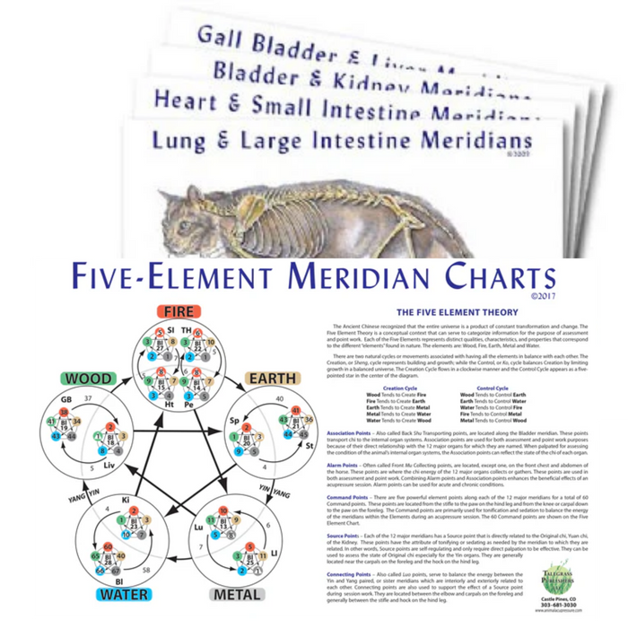 Feline 5 Element Meridian Charts