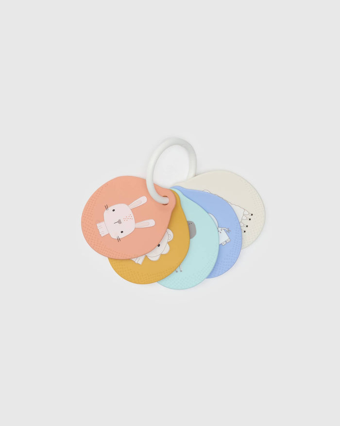 Loulou Lollipop Flashcards in Nature — front view on white background