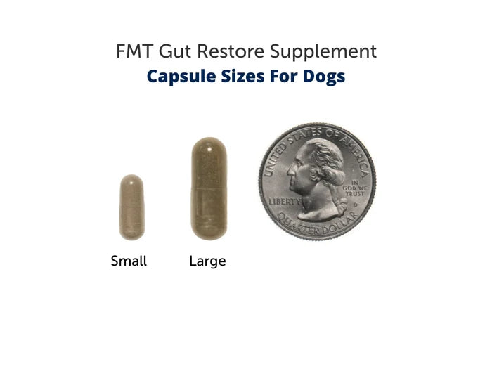 FMT Gut Restore: Ultimate Gut Restoration Supplement for Dogs (RAW-FED) - 30s Large Capsule