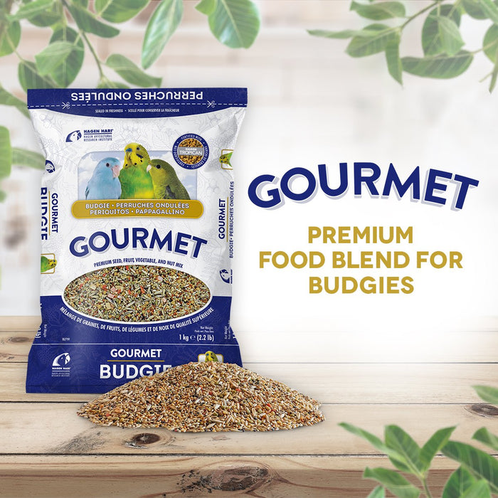 Hagen B2791 Gourmet  Premium Seed Blend for Budgies 2.2lb