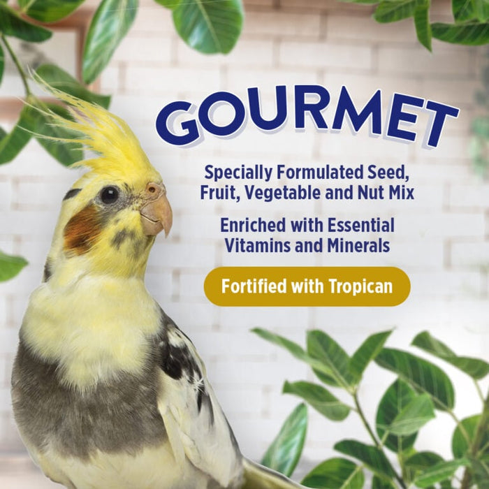 Hagen B2807 Gourmet  Premium Seed Blend for Cockatiels & Small Hookbills