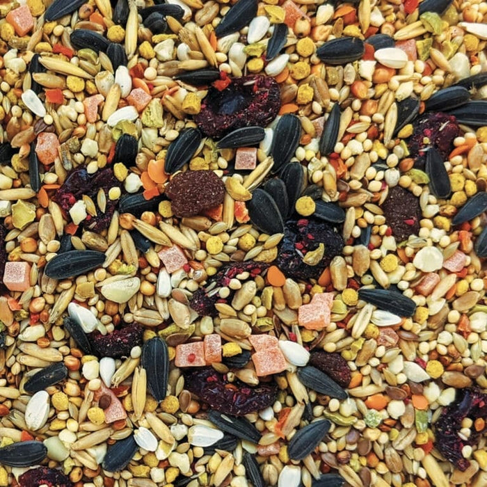 Hagen B2807 Gourmet  Premium Seed Blend for Cockatiels & Small Hookbills
