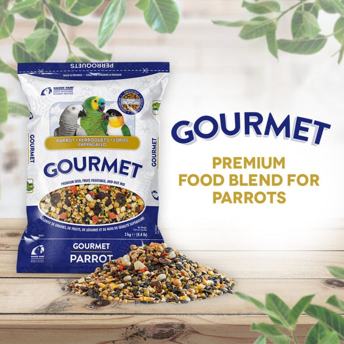 Hagen B2813 Gourmet  Premium Seed Blend for Parrots