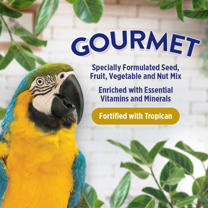 Hagen B2821 Gourmet  Premium Seed Blend for Large Parrots