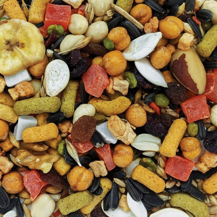 Hagen B2821 Gourmet  Premium Seed Blend for Large Parrots