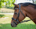 Henri de Rivel Dressage Bridle