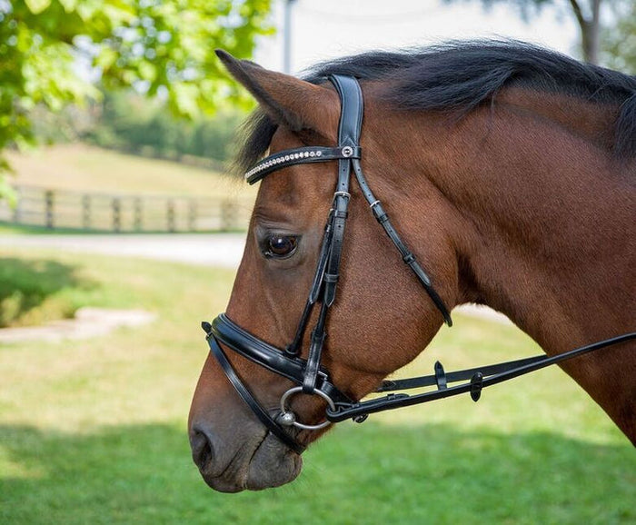 Henri de Rivel Dressage Bridle
