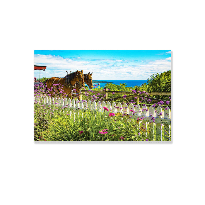 Iconic Mackinac Postcard Set