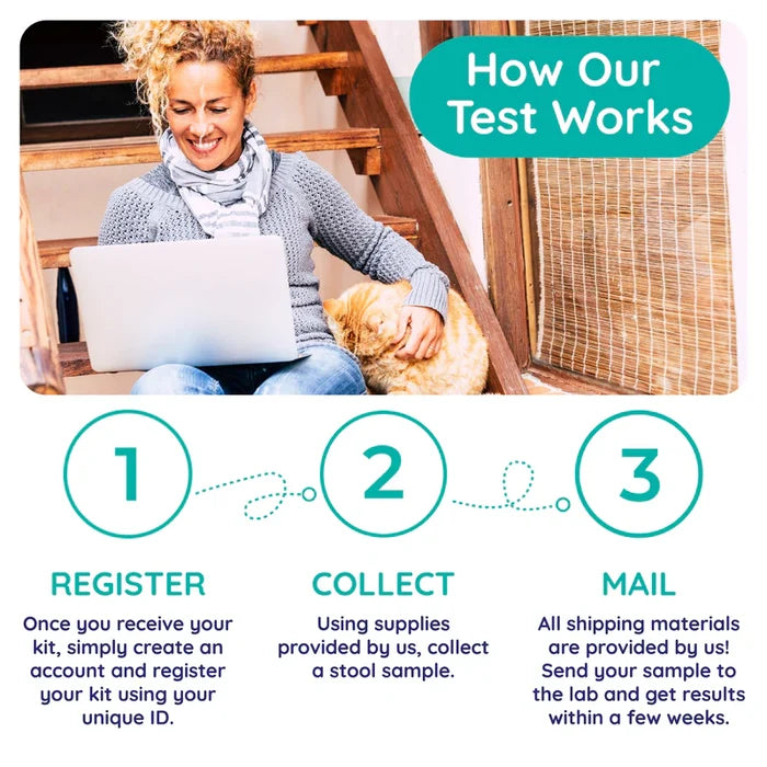Innovative Pet Lab - Cat - Comprehensive Gut Check for Cats