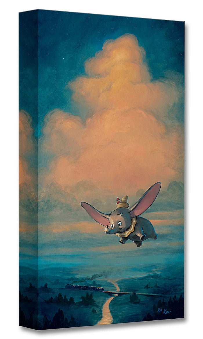 "Joy of Flight" by Rob Kaz