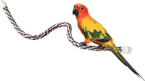 JWP 08756116  Perch Comfy Multi Color 32 Inch Perch