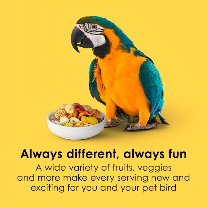 Kaytee Fiesta Macaw 4.5lb