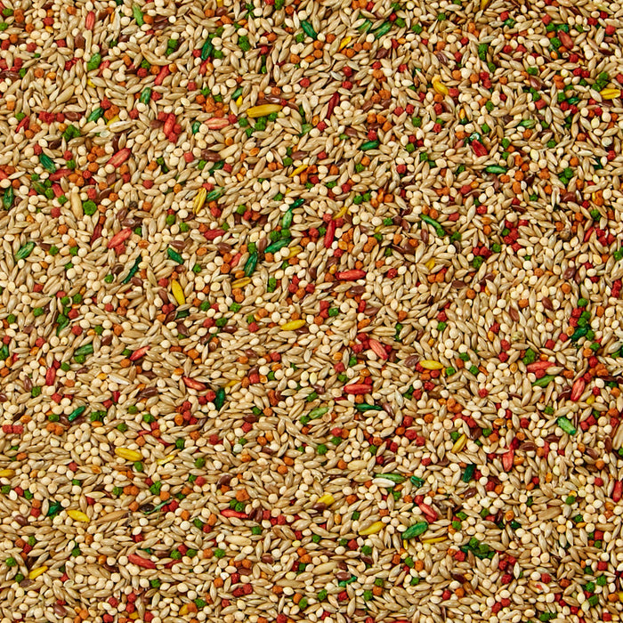 Kaytee Forti Diet Parakeet 4lb