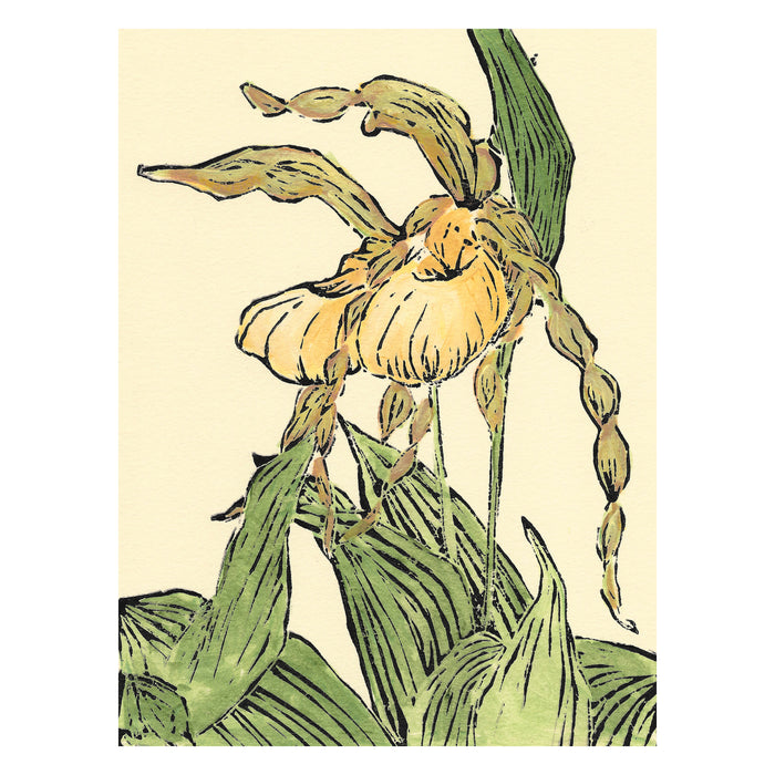 Lady's Slipper Pair 2  Original Block Print by Natalia Wohletz of Peninsula Prints, Mackinac Island, Michigan.