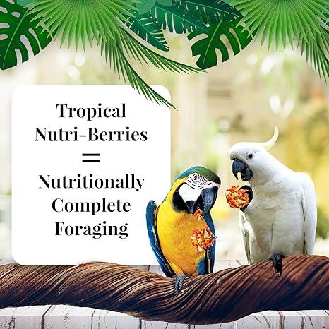 LAFEBER'S Tropical Fruit Nutri-Berries Pet Bird Food for Macaws and Cockatoos, 3 lb
