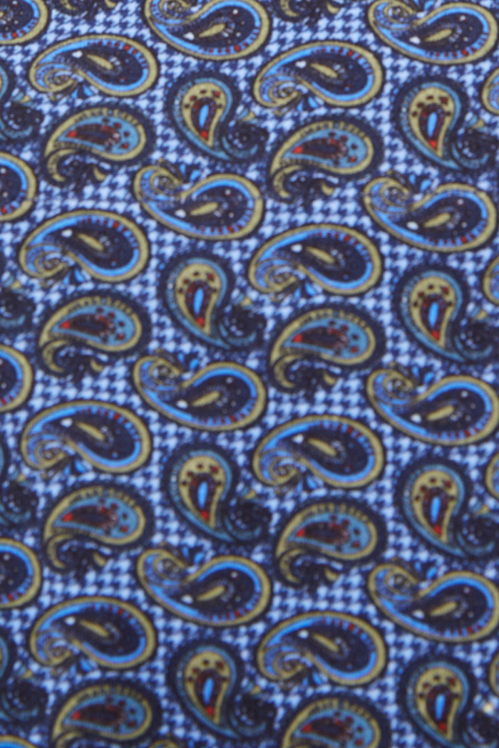 Leo Multicolor Paisley Polo