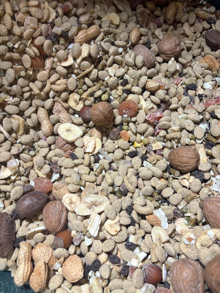 Mega Mix Nut Blend for Large parrots- bulk 1lb