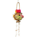 PreVue 62509 Coconut Fun