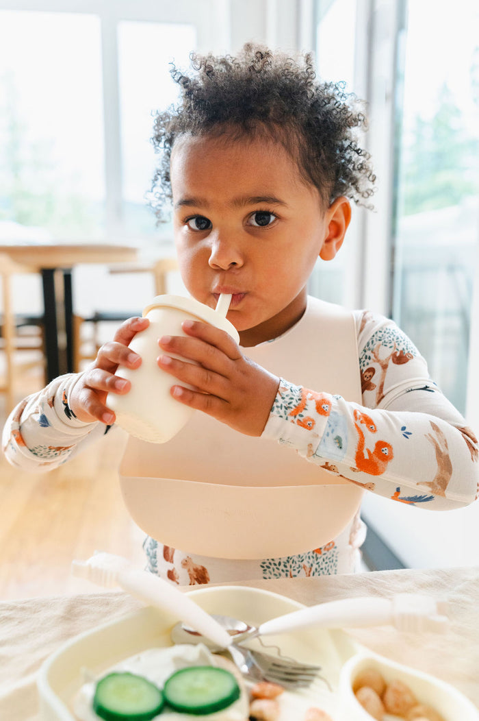 Silicone Bib - Coconut Milk + Kids Long Sleeve Pajama - Llama Adventures