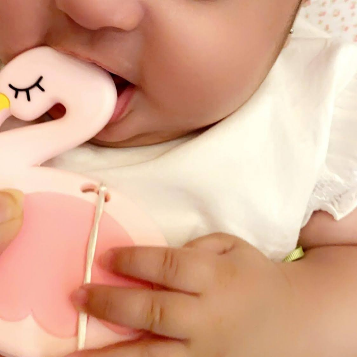 Teething_Set__Flamingo