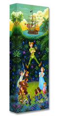 "The Hero of Neverland" by Tim Rogerson