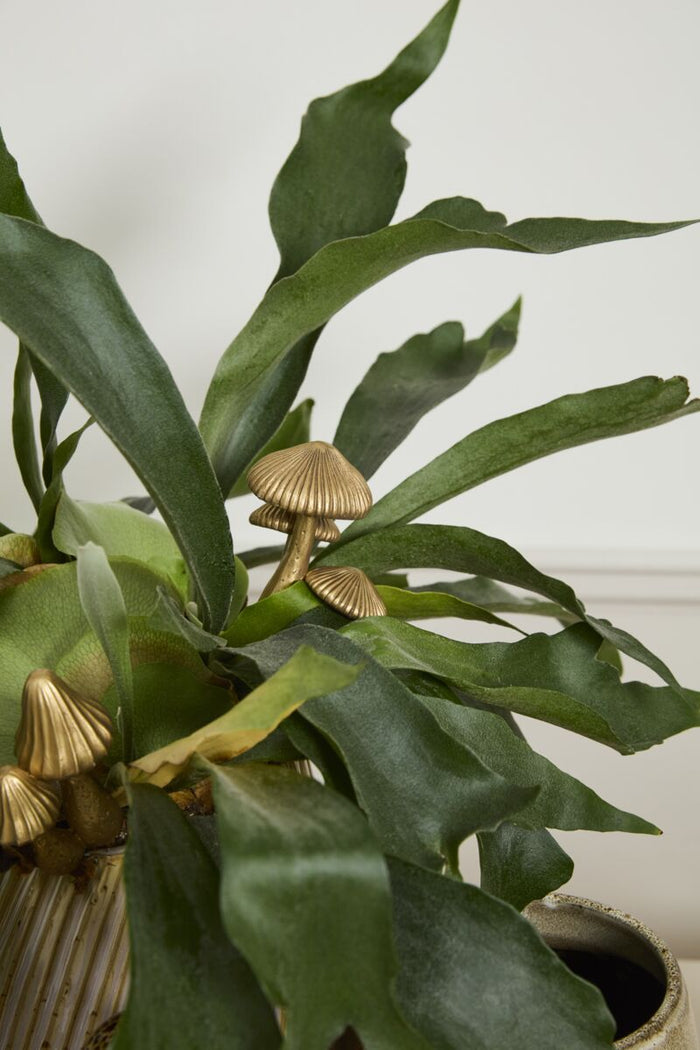 Troop Mushroom Plant Stick