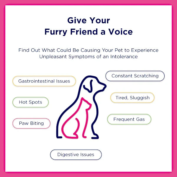 UCARI At-Home Pet Intolerance Test Kit (Elite)