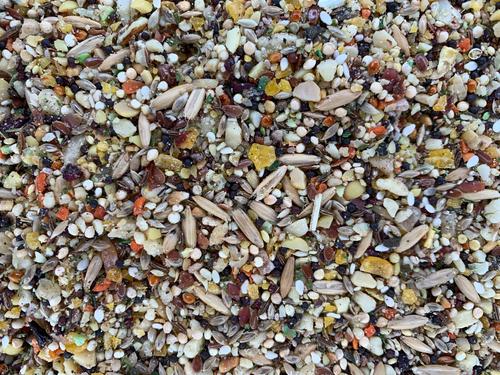 Versele-Laga Goldenfeast 82225 Patagonian Blend 3lb