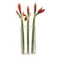 Wall Brick Clear Glass Hanging: Small