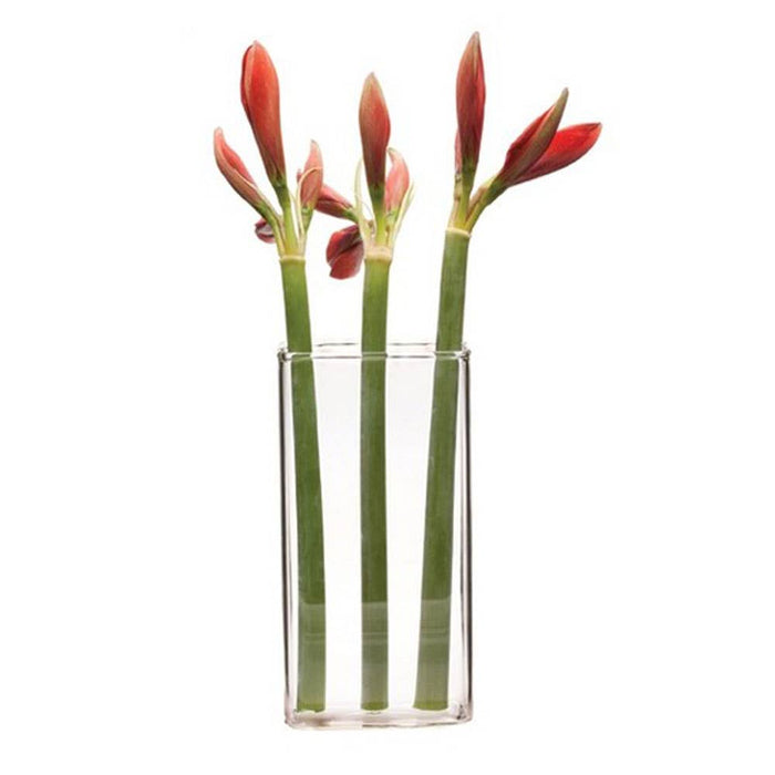 Wall Brick Clear Glass Hanging: Small