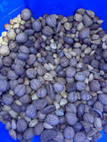 Whole Shelled Mixed Nuts-Bulk 1lb