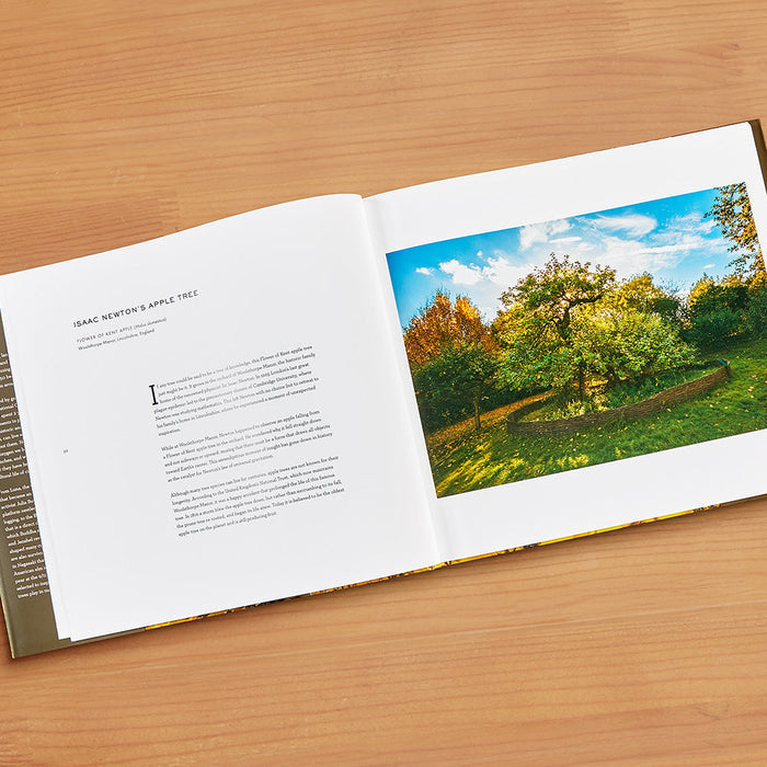 "Wise Trees" by Diane Cook and Len Jenshel