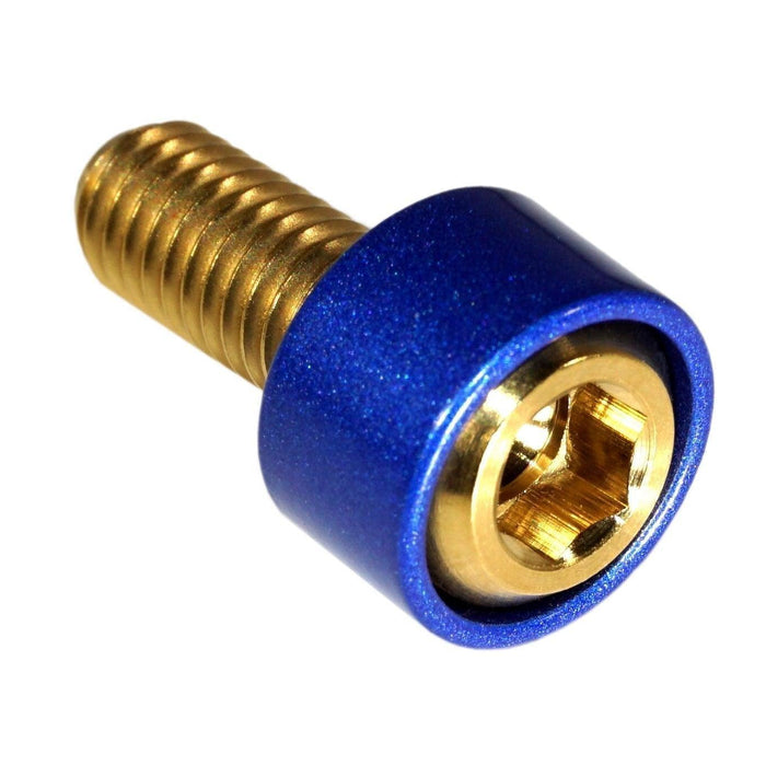 Gold w/Blue
