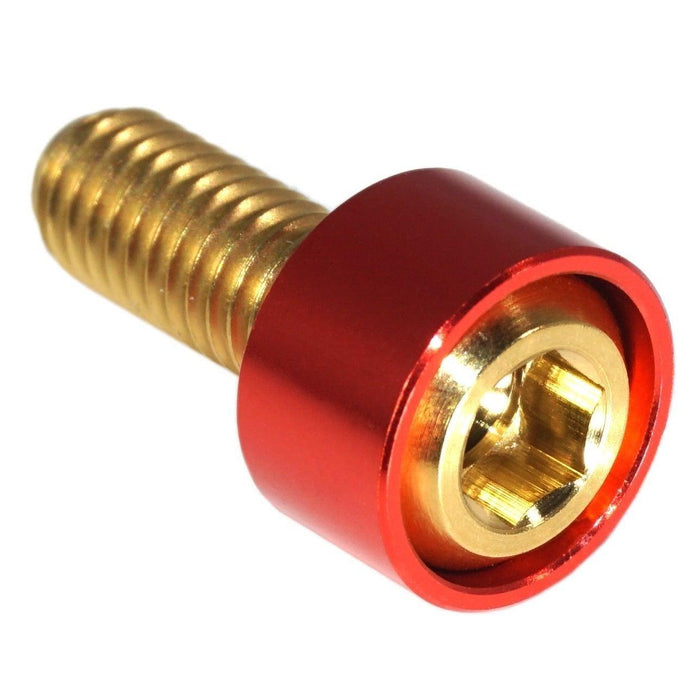 Gold w/Red