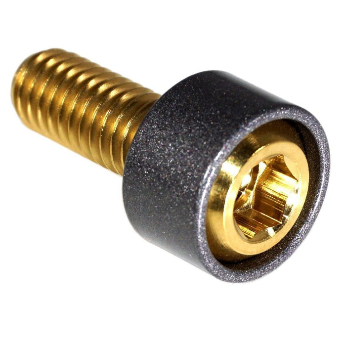 Gold w/Gunmetal