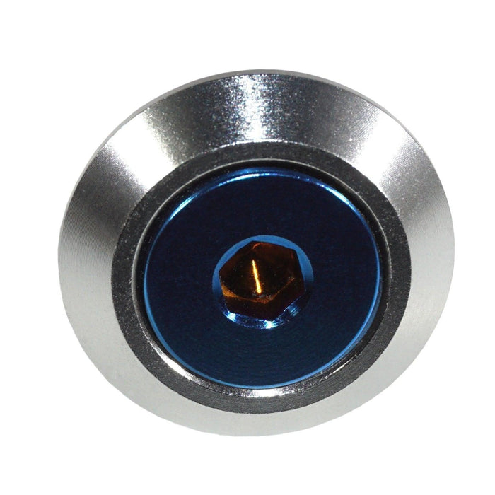 Blue w/Silver