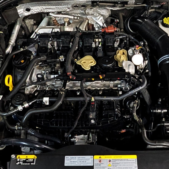 ZSPEC Manifold Dress Up Bolts Kit, VW MK8 Golf GTi

Stainless & Billet, Dress Up Bolts, Nuts and Washers from ZSPEC Design
