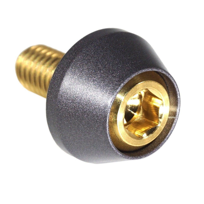 Gold w/Gunmetal